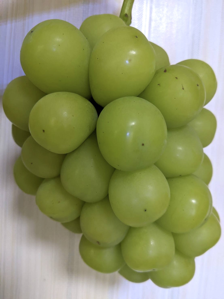 シャインマスカット